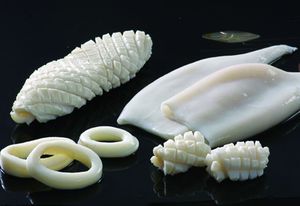 Squid Products